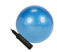 <!--:fr-->Ensemble Gymnic Plus 65 cm avec Pompe à Main<!--:--><!--:en-->Gymnic Plus Set 65cm Therapy Ball with Hand Pump<!--:-->