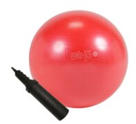 <!--:fr-->Ensemble Gymnic Plus 55 cm avec Pompe à Main<!--:--><!--:en-->Gymnic Plus Set 55cm Therapy Ball with Hand Pump<!--:-->