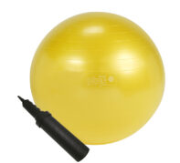 <!--:fr-->Ensemble Gymnic Plus 75 cm avec pompe à main<!--:--><!--:en-->Gymnic Plus Set 75cm Therapy Ball with Hand Pump <!--:-->